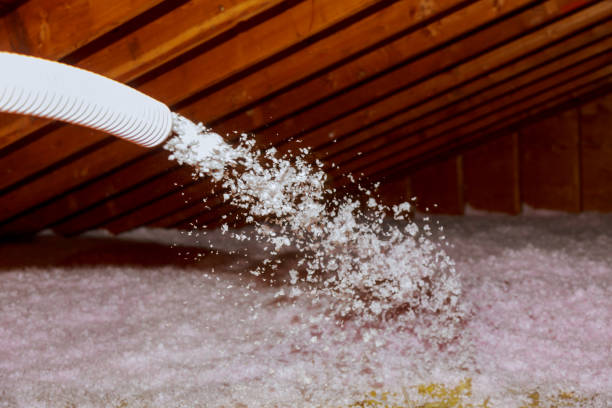 Best Spray Foam Insulation in Cambridge, IL