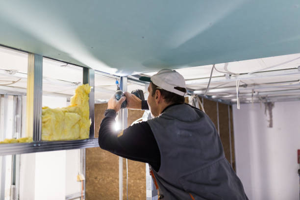 Best Spray Foam Insulation in Cambridge, IL