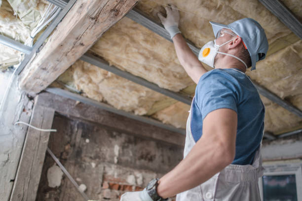 Best Energy Efficiency Insulation in Cambridge, IL